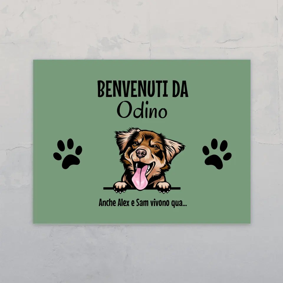 Animali domestici affacciati - Targa per porta personalizzata