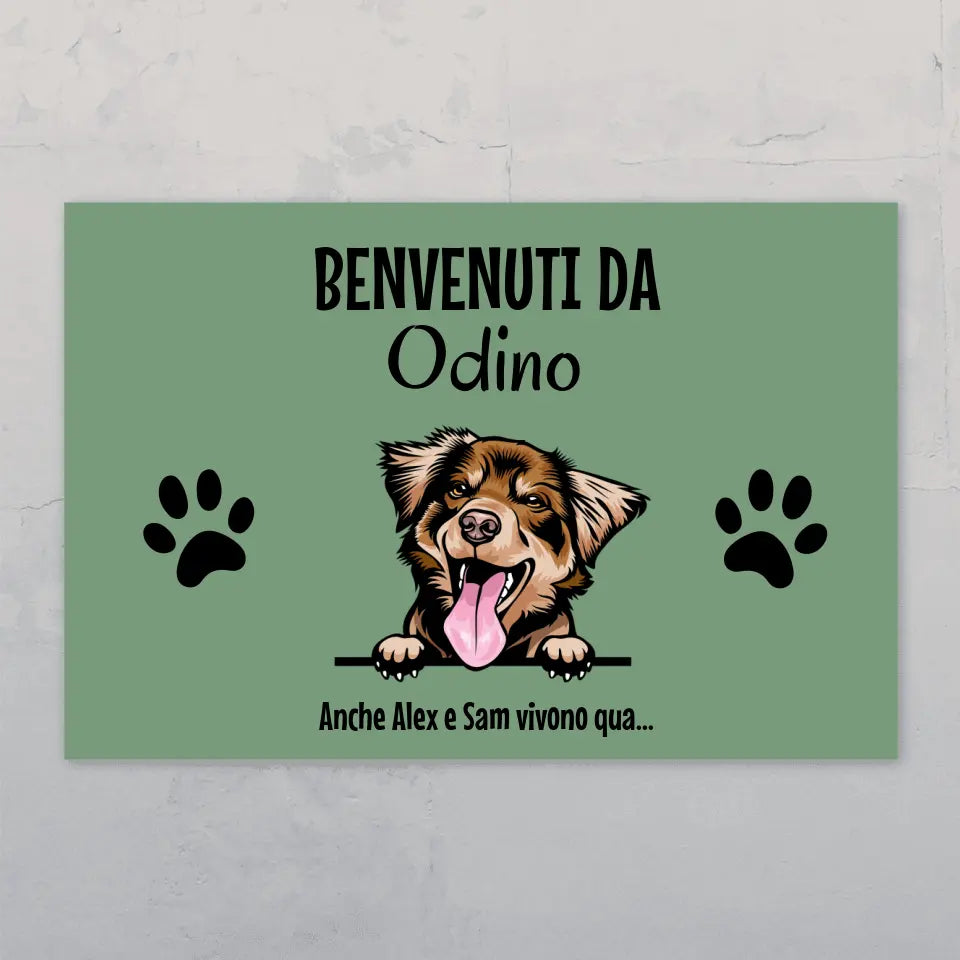 Animali domestici affacciati - Targa per porta personalizzata