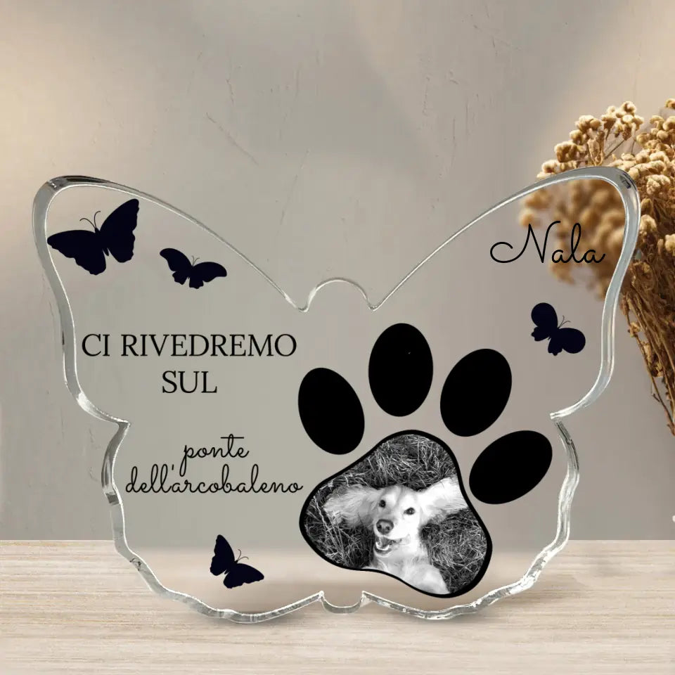 Ponte dell'arcobaleno - Farfalla in acrilico personalizzata