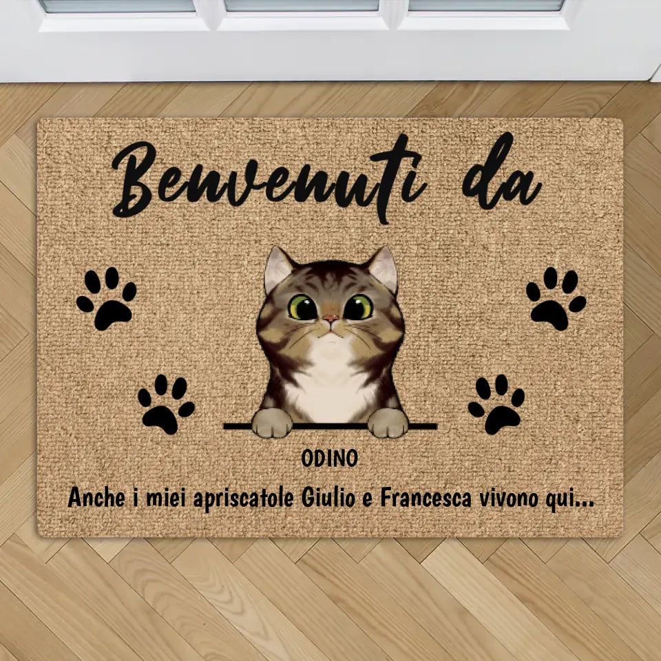 Benvenuti da gatti curiosi - Zerbino personalizzato