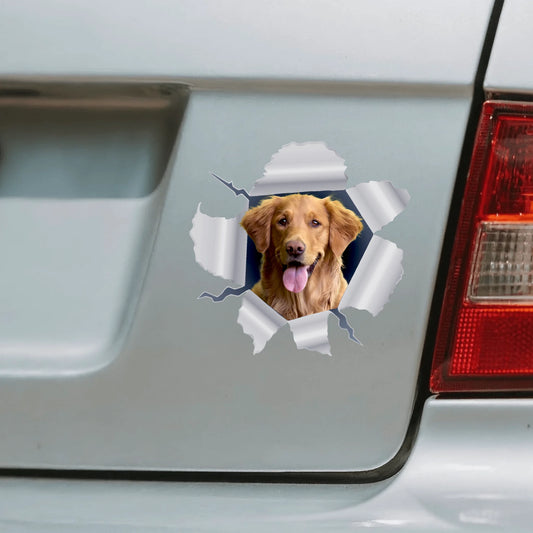 Adesivo per auto personalizzato - Foto curiosa