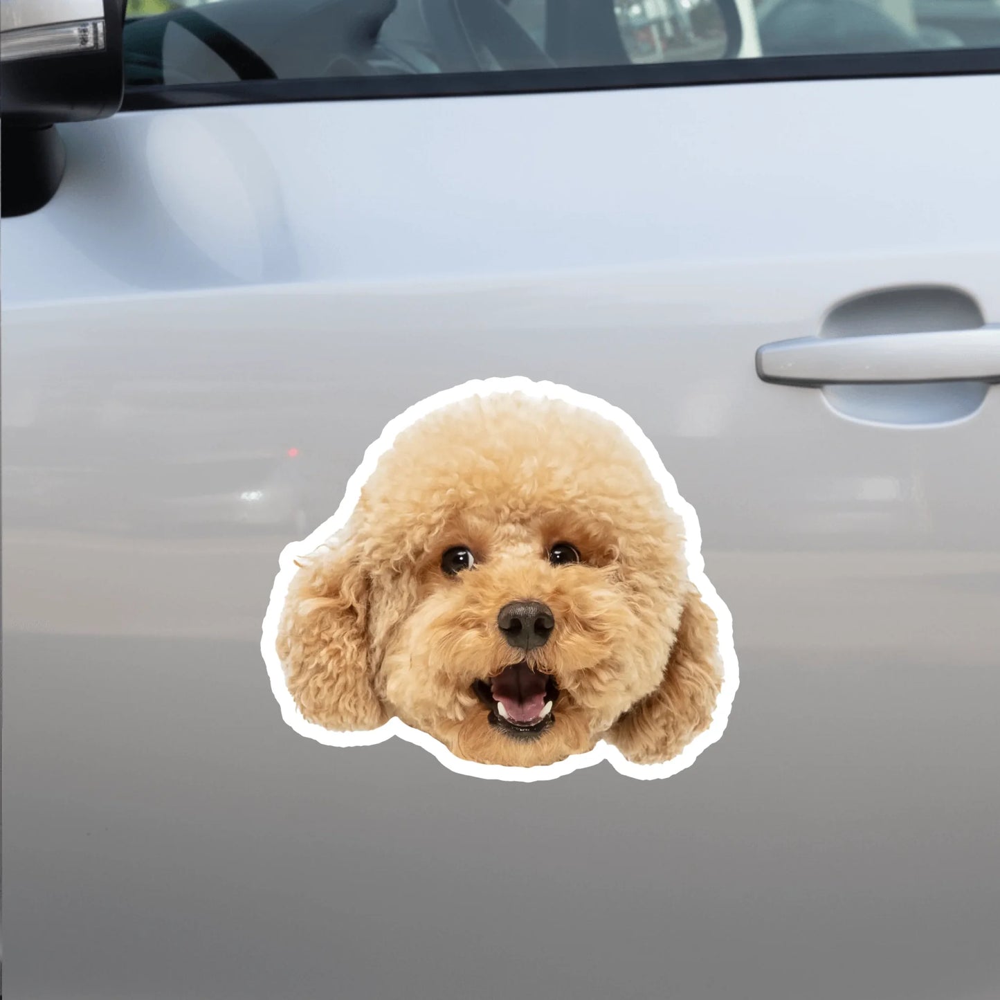 Car Sticker - SHOP NEW side door (1)