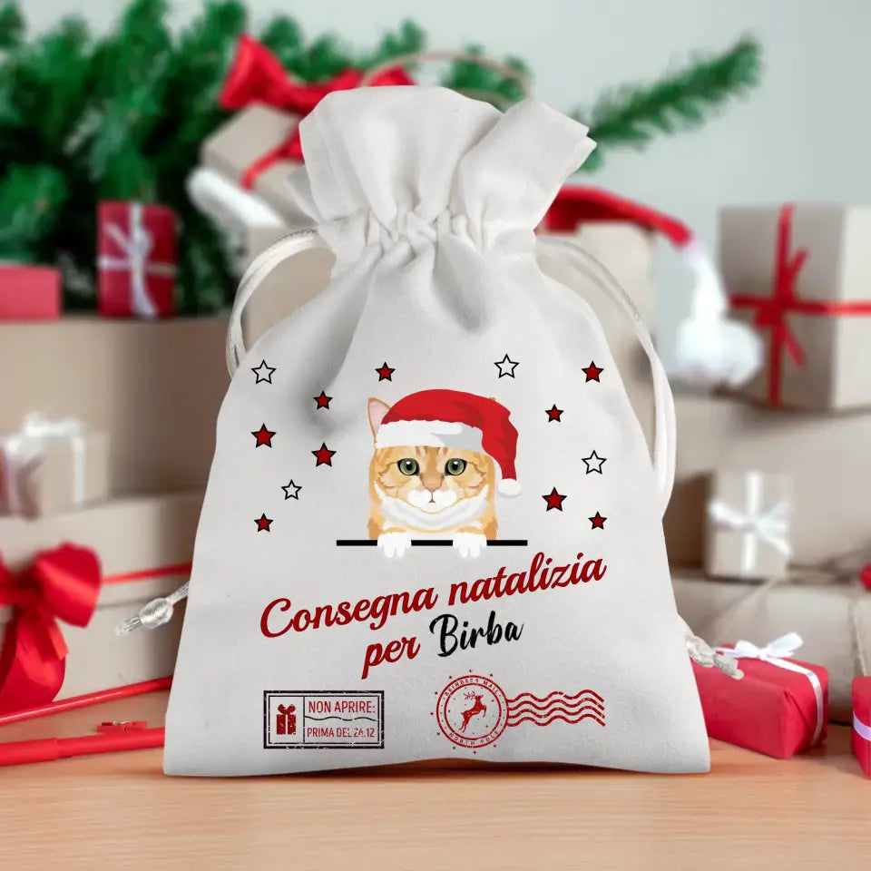 Consegna natalizia - Sacchetto regalo personalizzato