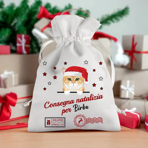 Consegna natalizia - Sacchetto regalo personalizzato - Featured Image