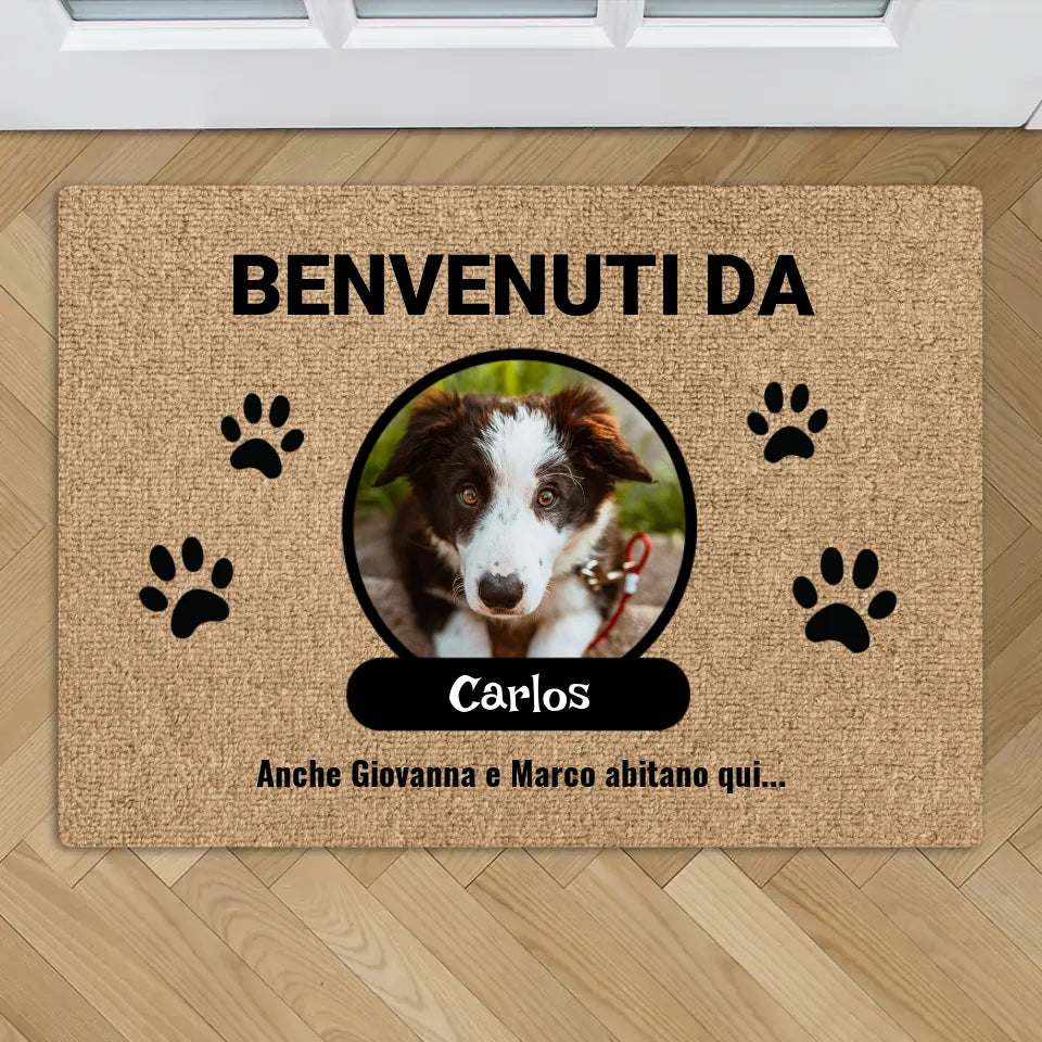 Ornamento Albero Natale Printtoo Personalizzato: Acrilico Trasparente Inciso Con Zampa Cane/gatto, Con Scatola Regalo, Ricordo Animale Domestico