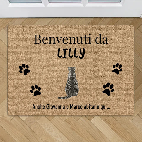 Benvenuti da (gatti) - Zerbino personalizzato - Featured Image