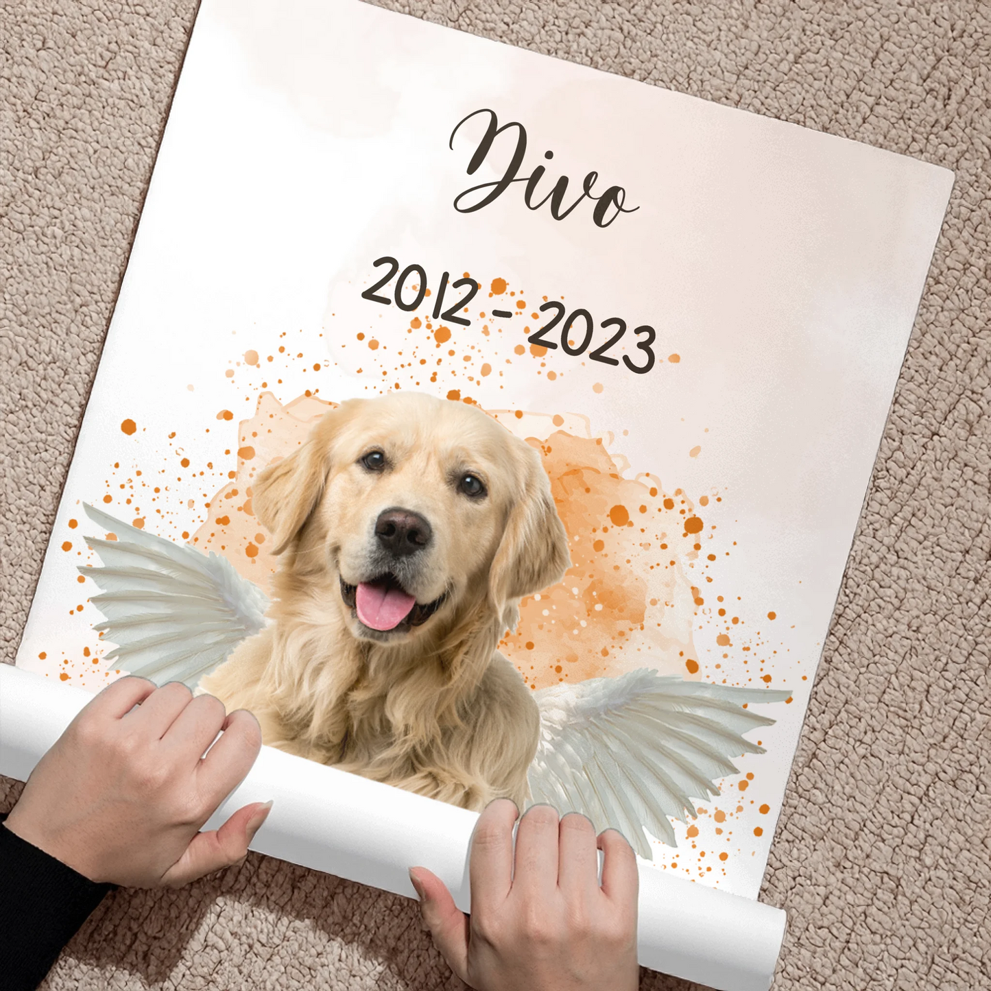 Poster - supplementary