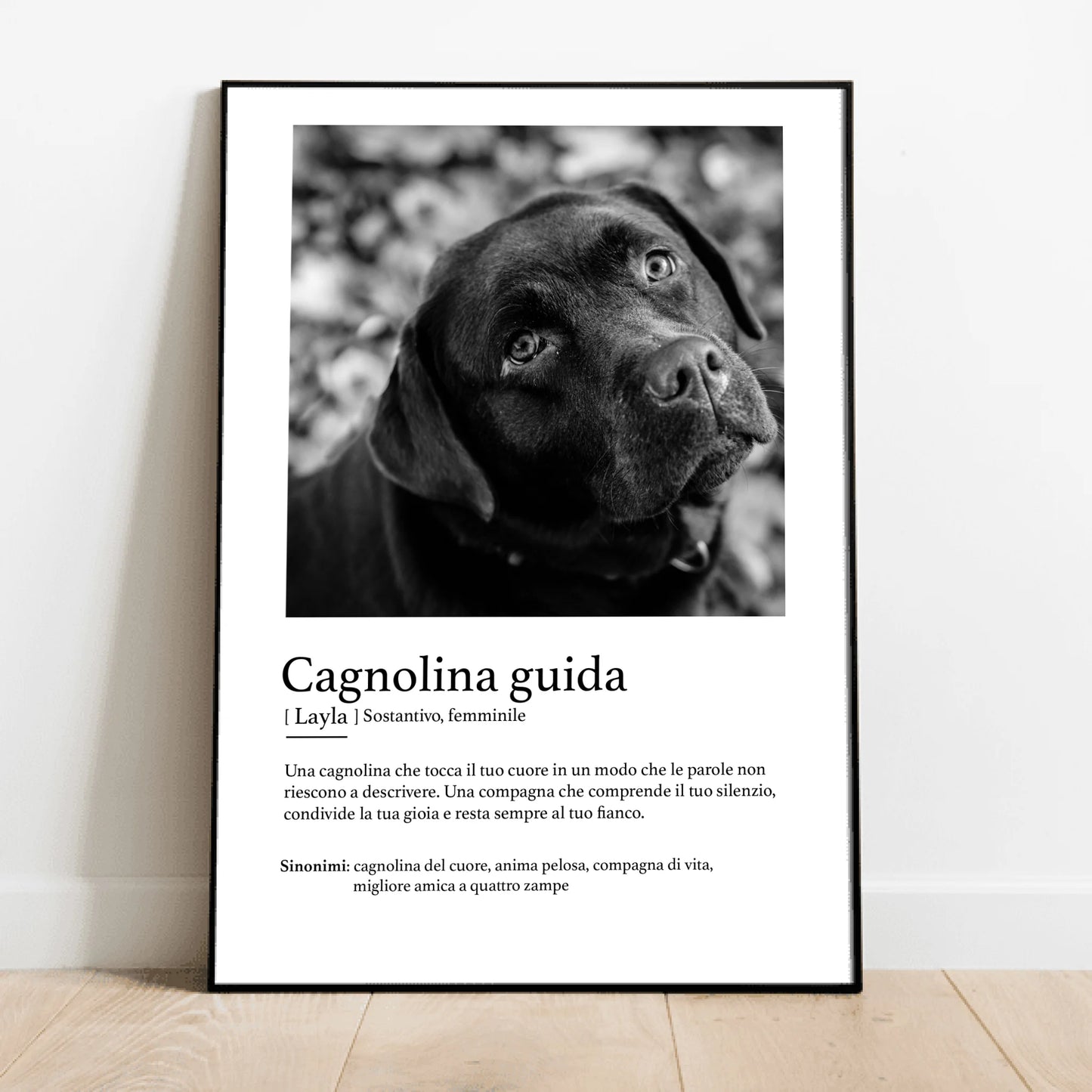 Definizione animale guida - Poster personalizzato