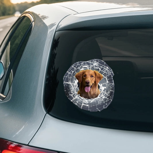 Car Sticker - SHOP NEW 2