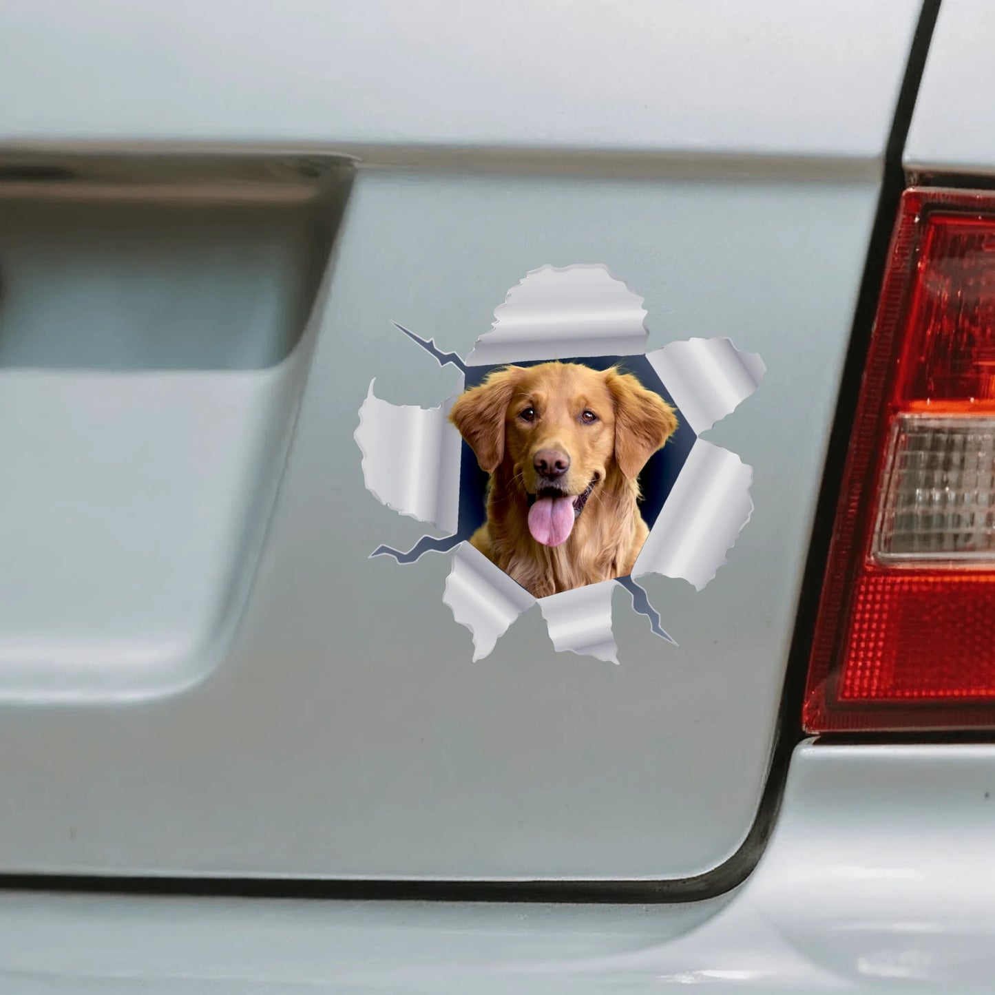 Foto curiosa - Adesivo per auto personalizzato