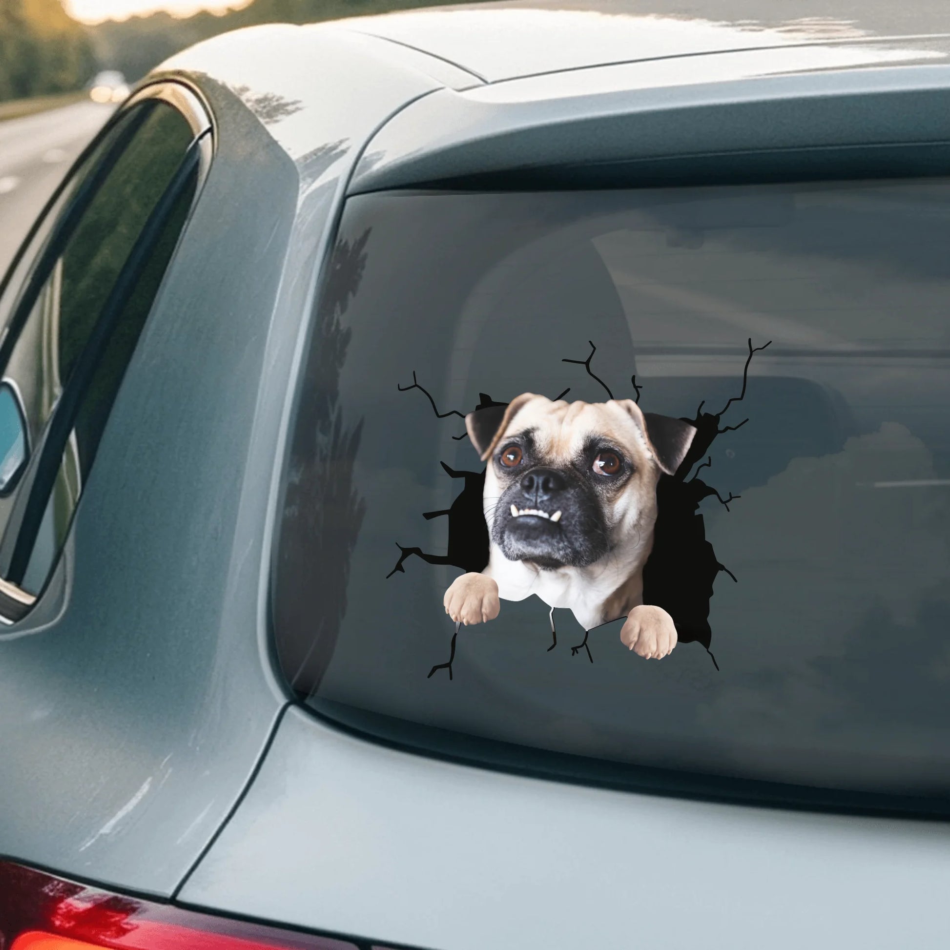 Car Sticker - SHOP NEW 2