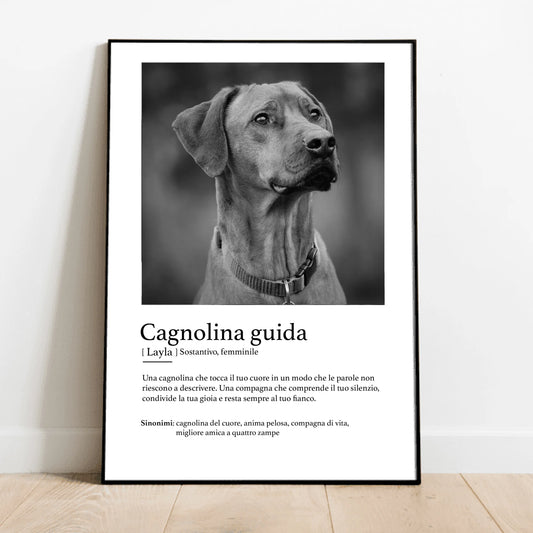 Definizione animale guida - Poster personalizzato