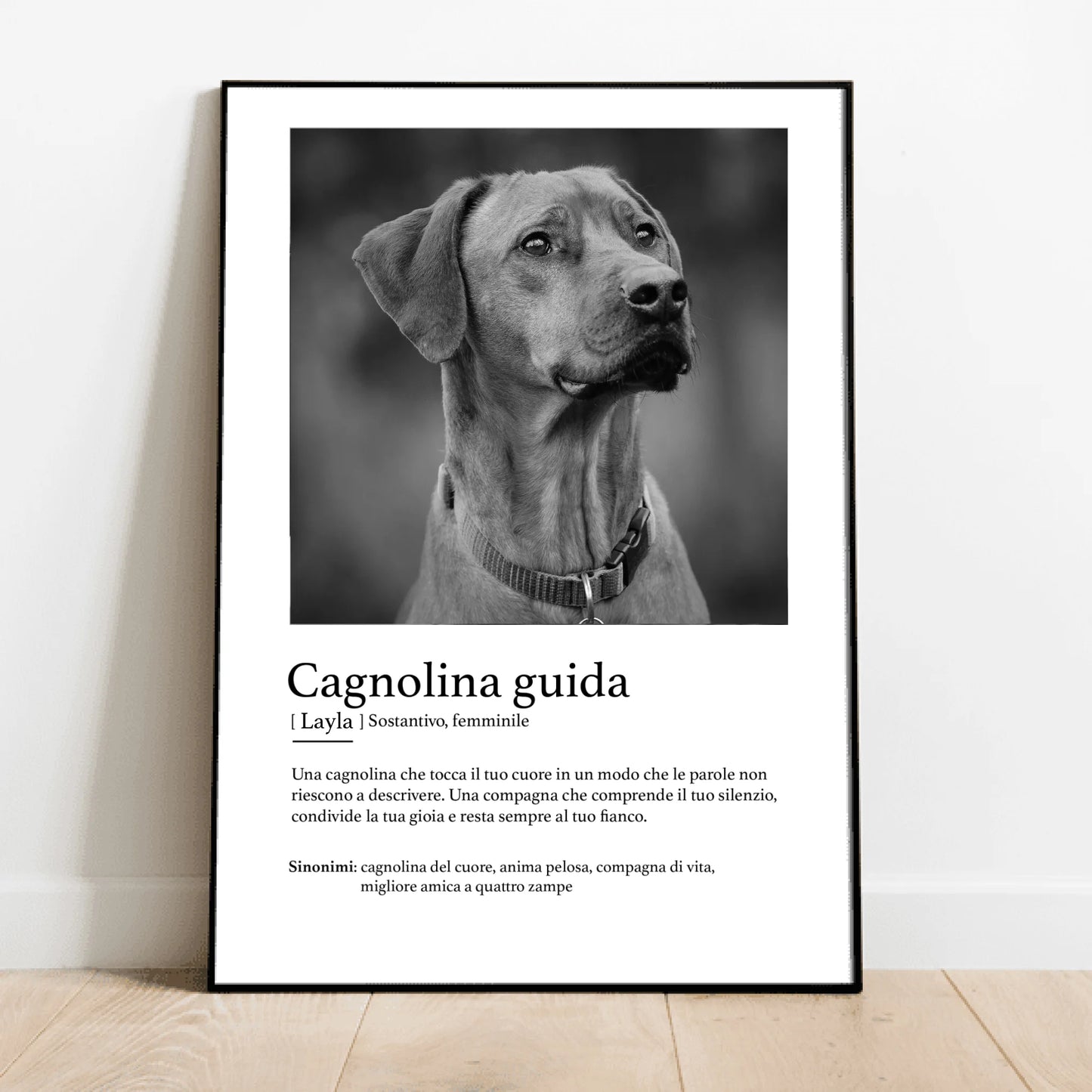 Definizione animale guida - Poster personalizzato