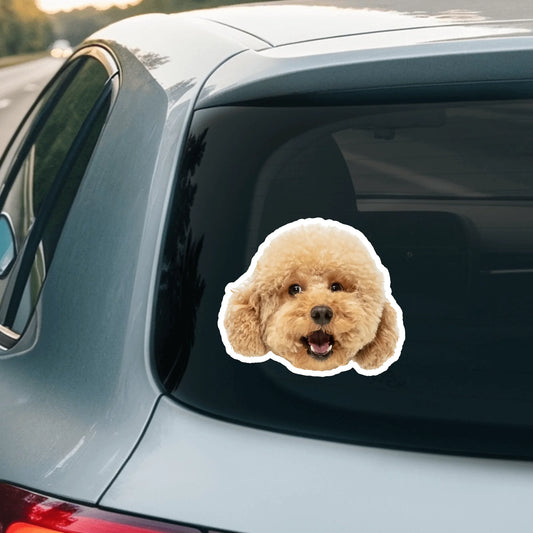 Car Sticker - SHOP NEW 2