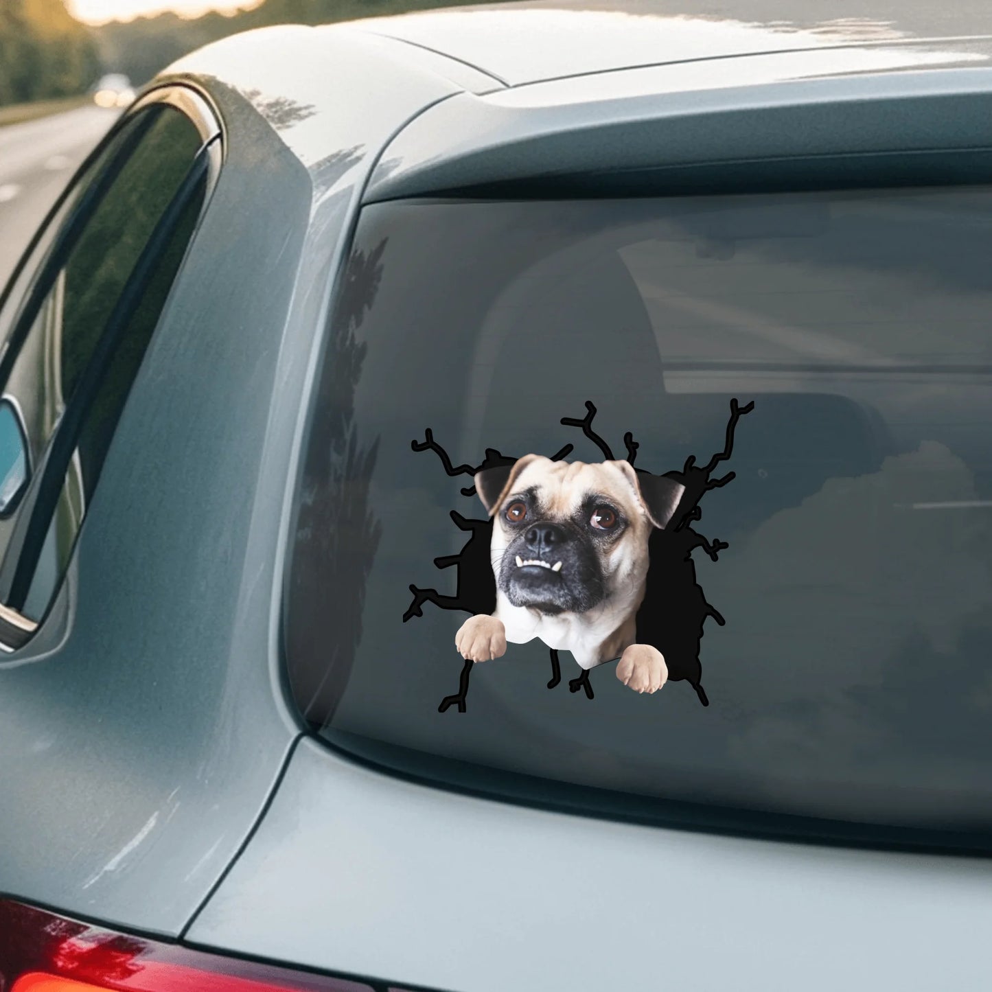 Car Sticker - SHOP NEW 2