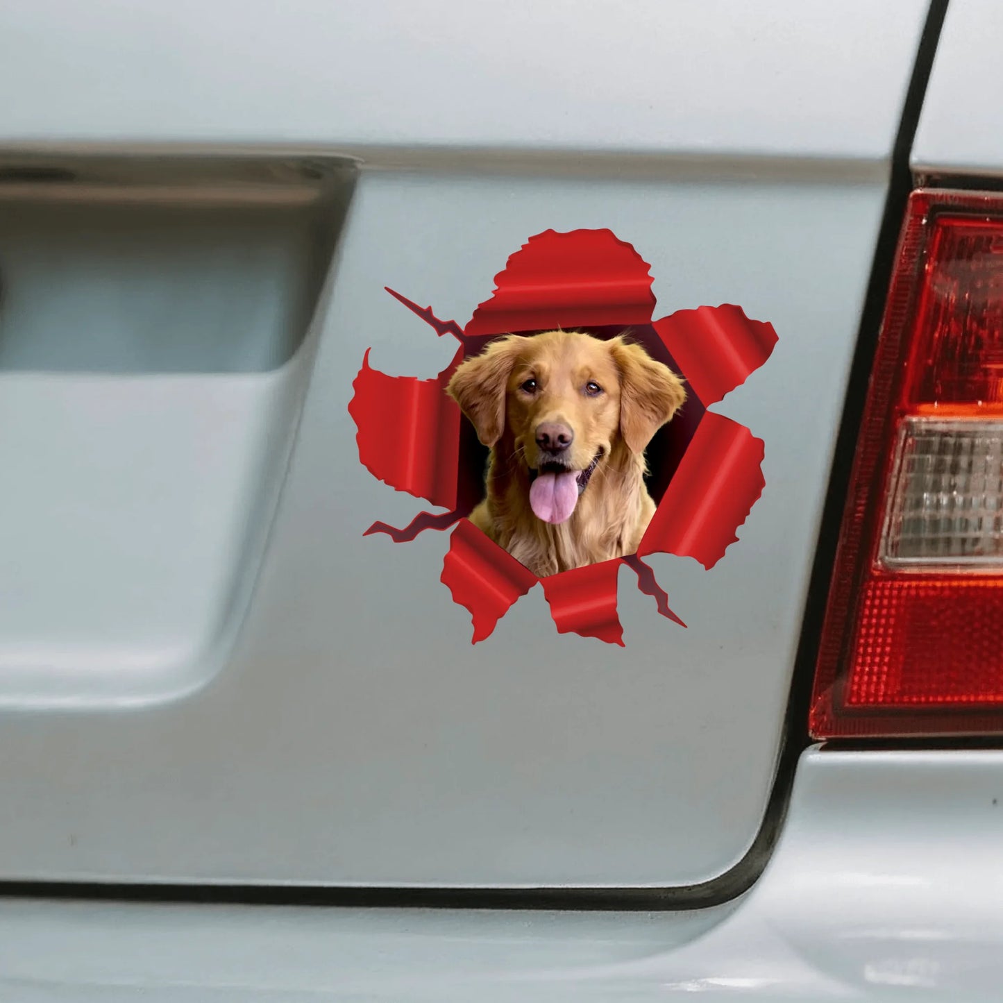 Car Sticker - SHOP NEW 1