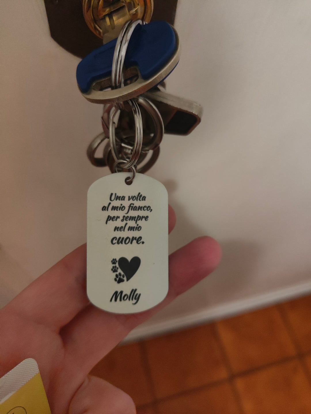 Portachiavi Divertente Con Capra - 'Just A Girl Who Loves Goats' - Acciaio Inox Con Sacchetto Regalo